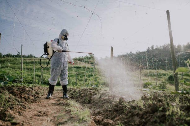 Best Pest Removal Services  in Elverta, CA