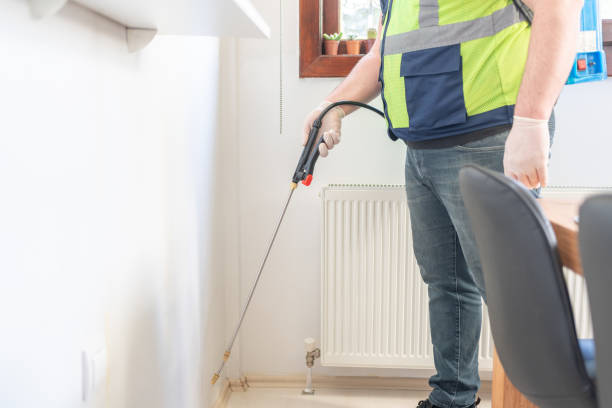 Professional Pest Control in Elverta, CA