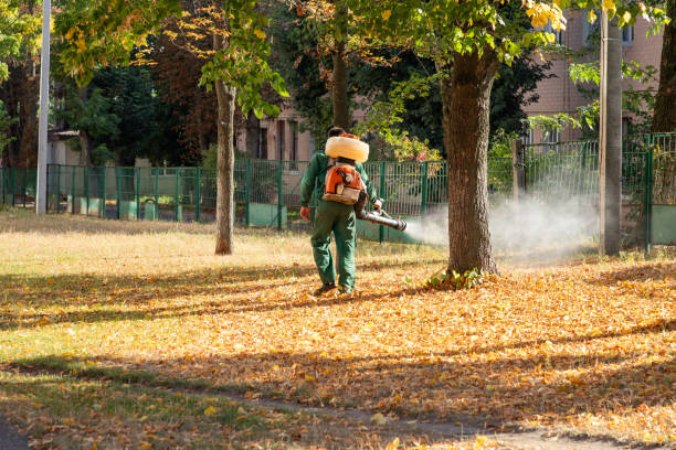 Best Flea Control Services  in Elverta, CA